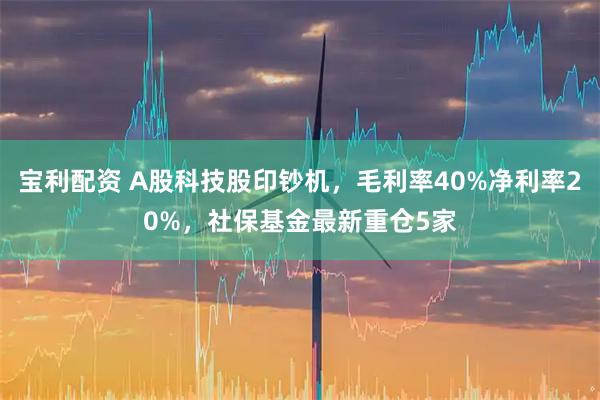 宝利配资 A股科技股印钞机，毛利率40%净利率20%，社保基金最新重仓5家