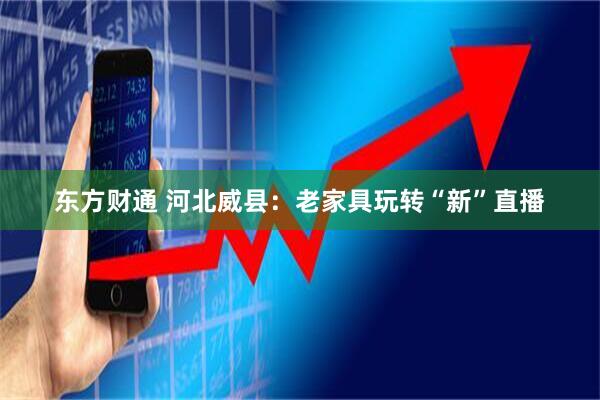 东方财通 河北威县：老家具玩转“新”直播